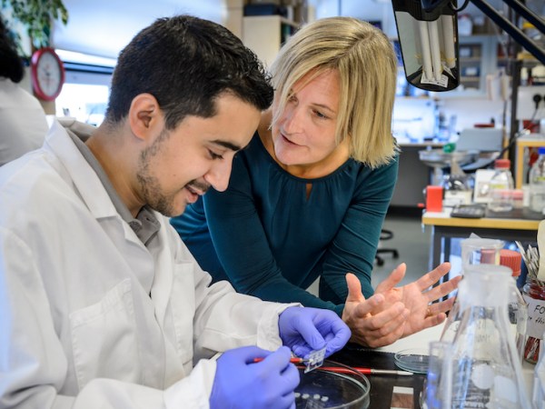 Swedish breakthrough against Parkinson’s disease