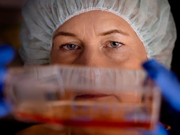 Stem Cells Enter the Clinic: A New Era for Regenerative&nbsp;Medicine